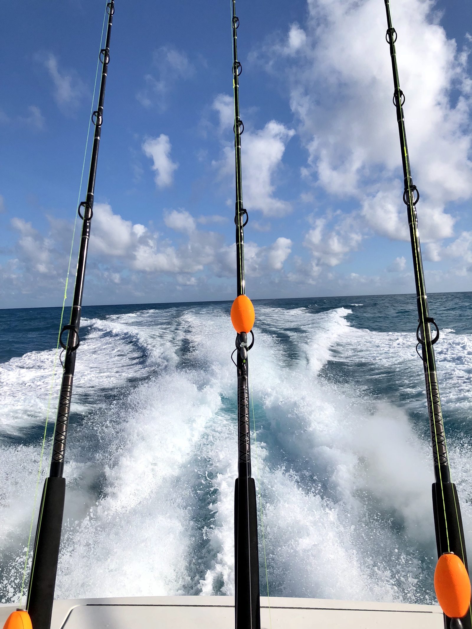 DEMO · Striker 38 Fishing