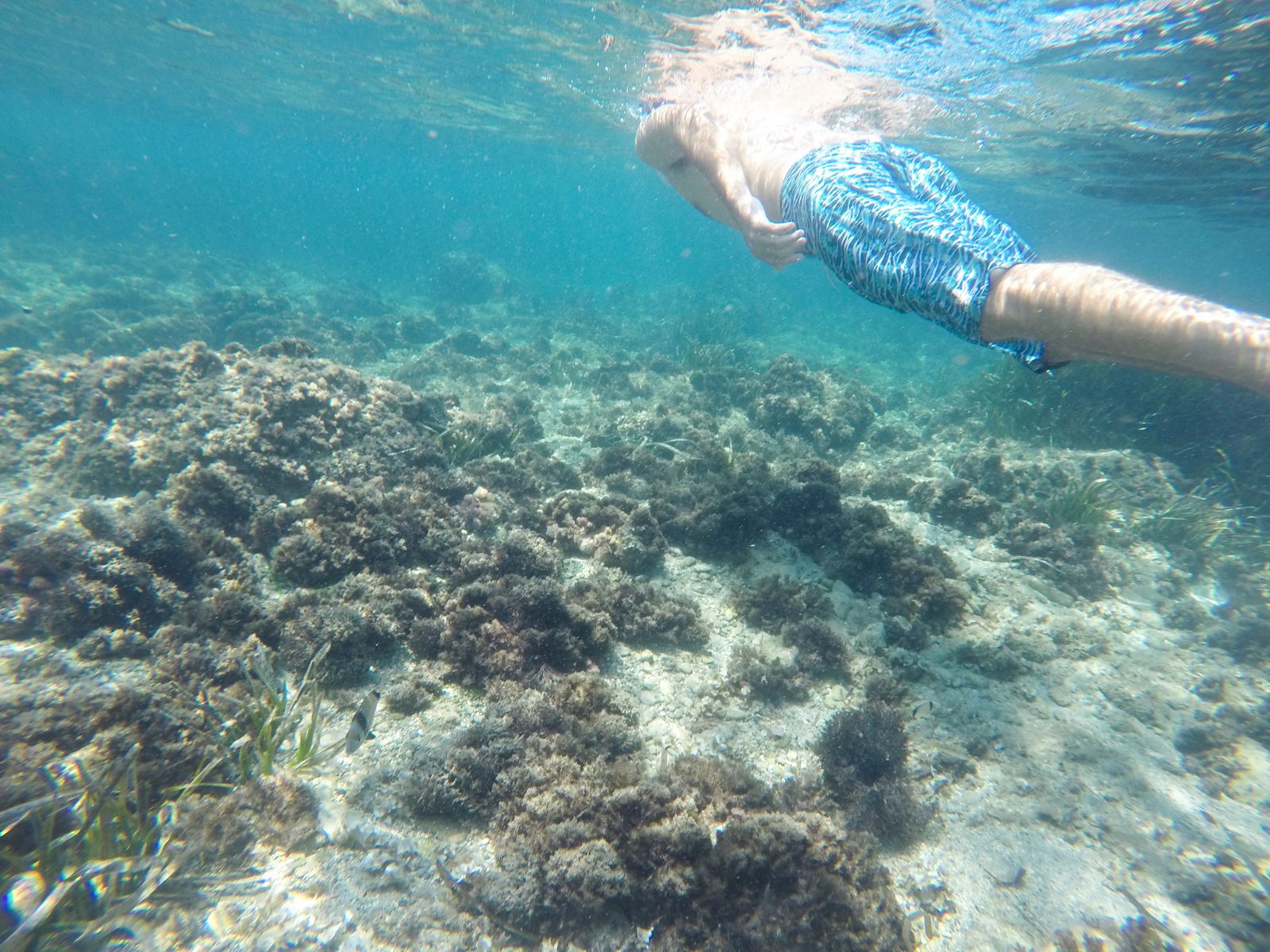 DEMO · Discover Scuba Dive